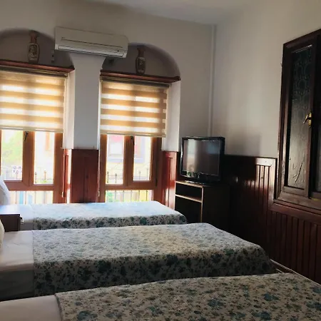 Hotel Saatli Konak *