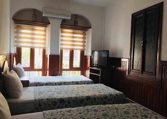 Hotel Saatli Konak *